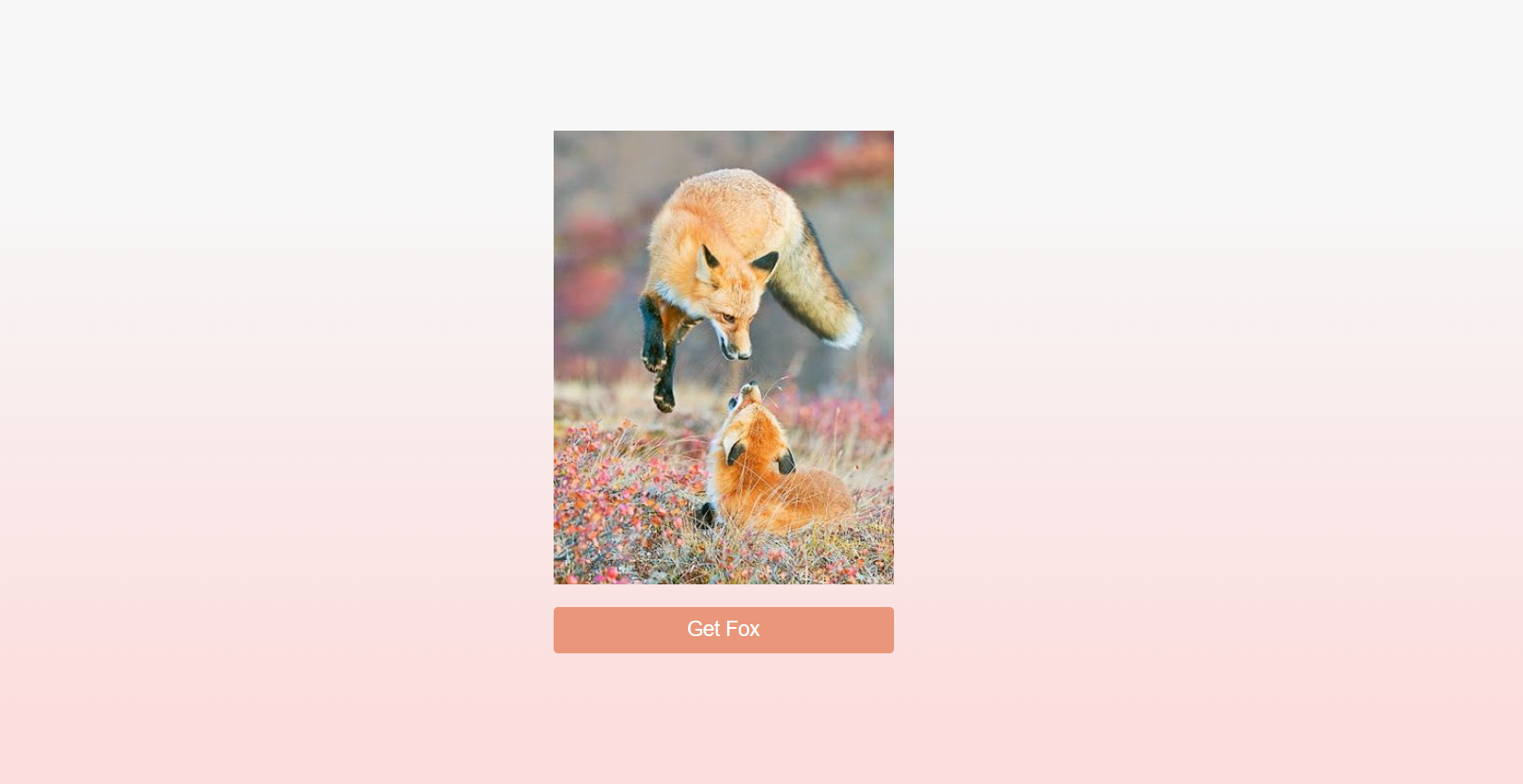 foxpromisetask